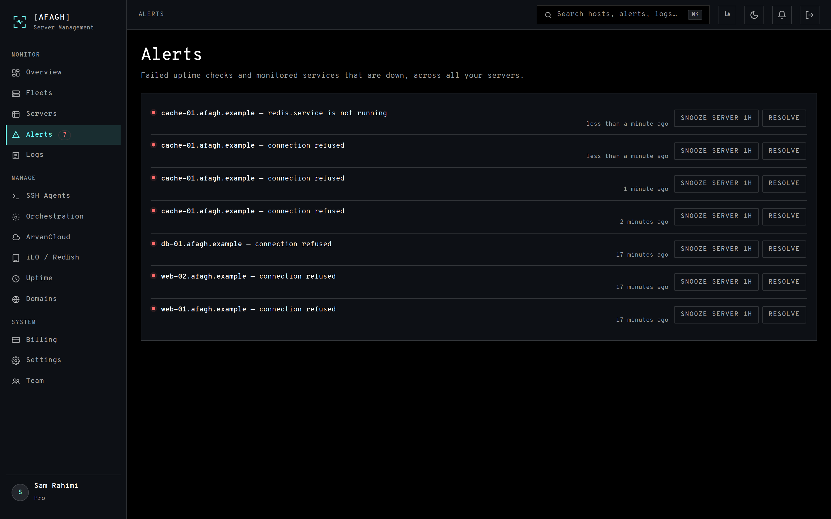 The alerts page listing open alerts with snooze and resolve actions