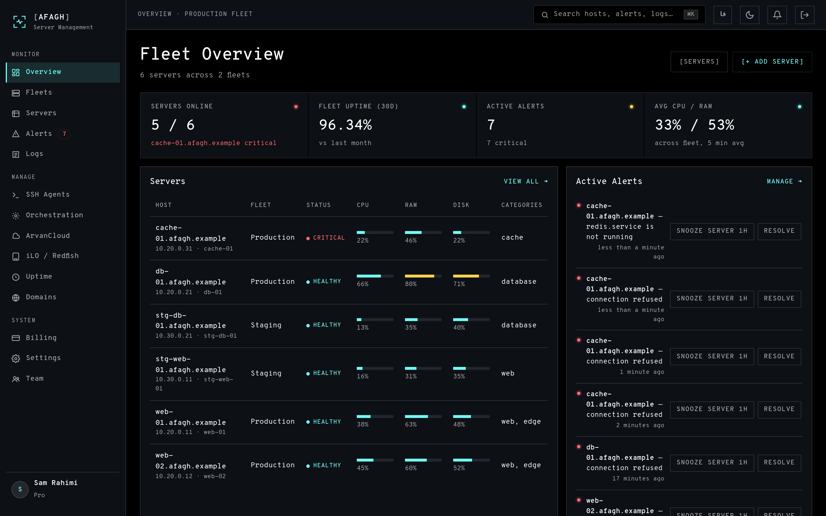 The overview dashboard with KPIs, server table, alerts and fleet load chart