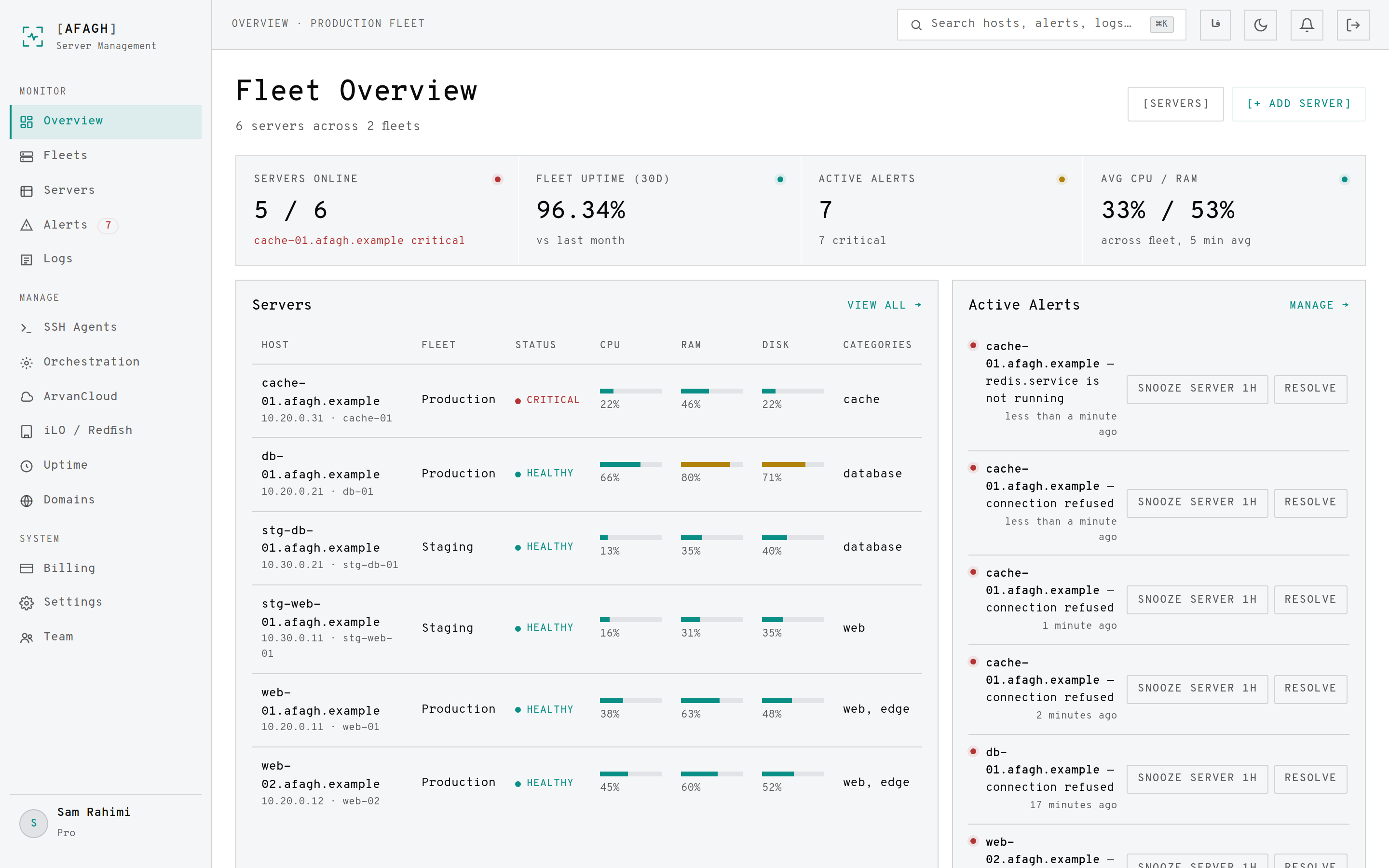The overview dashboard with KPIs, server table, alerts and fleet load chart