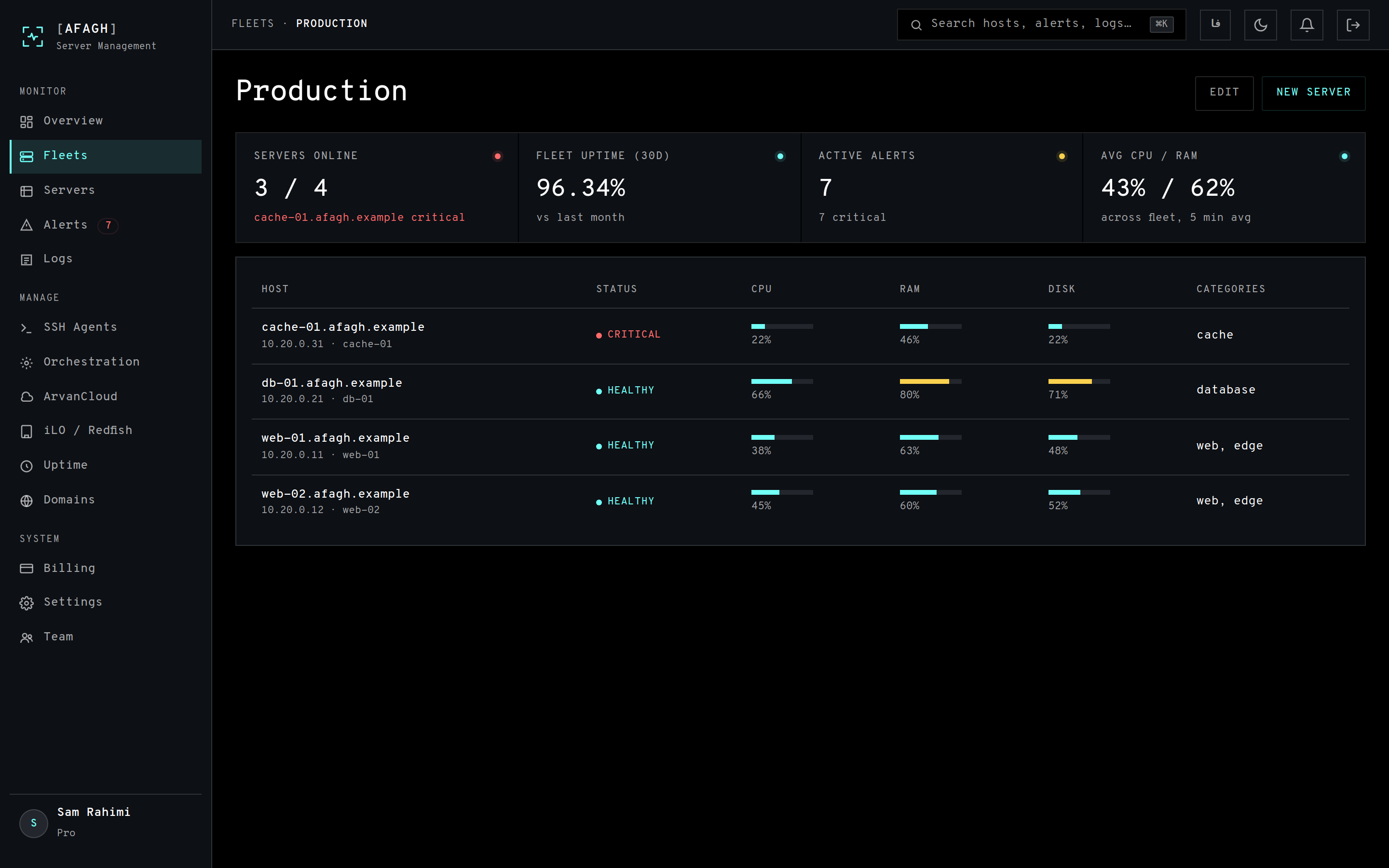A single fleet showing its KPI row and server table
