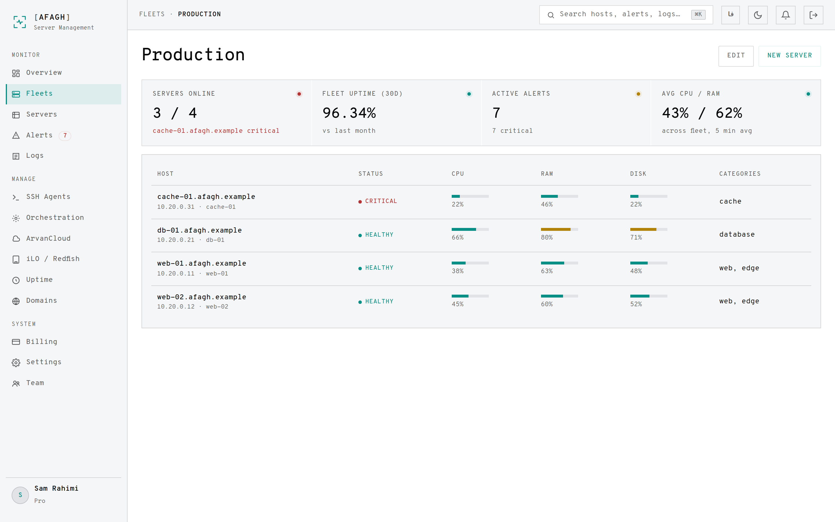 A single fleet showing its KPI row and server table