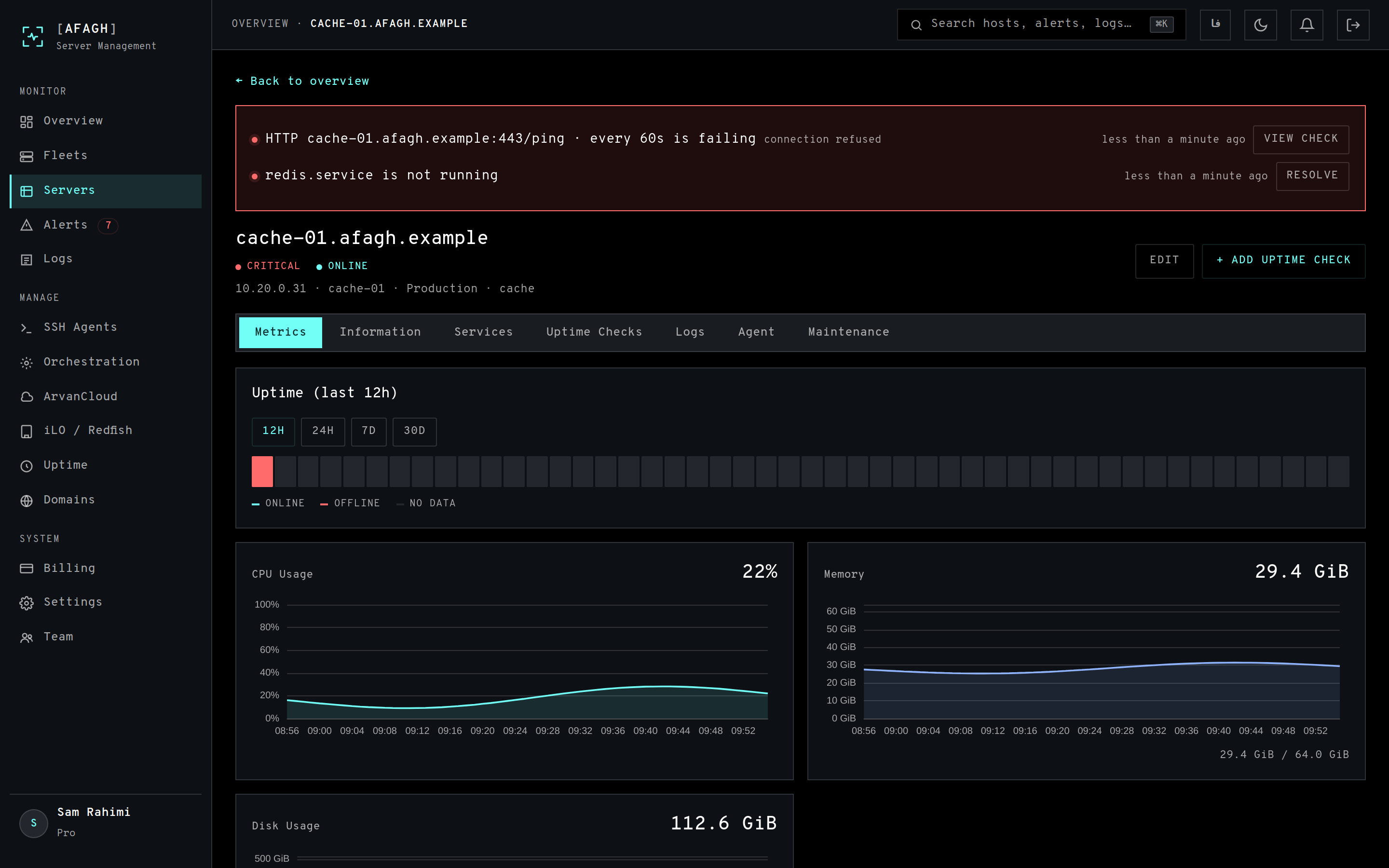 A server page showing the alert banner, uptime strip and metric charts