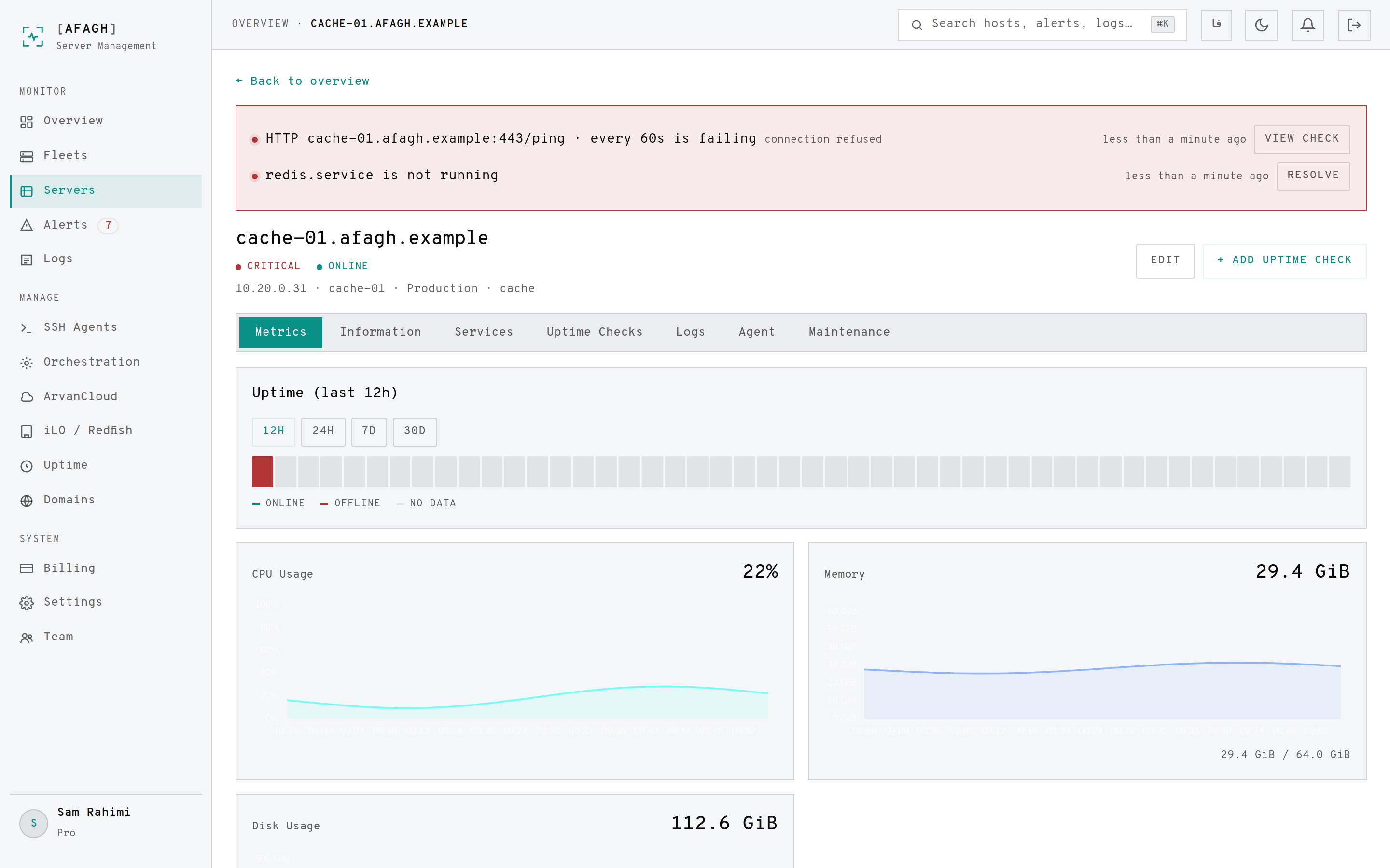A server page showing the alert banner, uptime strip and metric charts